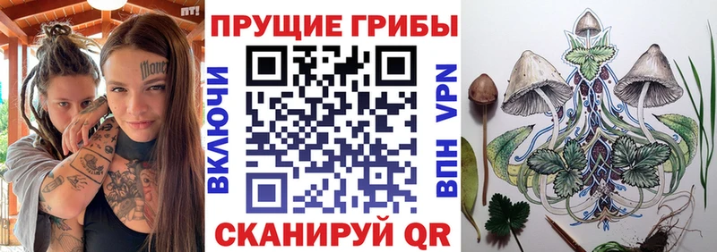 Галлюциногенные грибы прущие грибы Пересвет